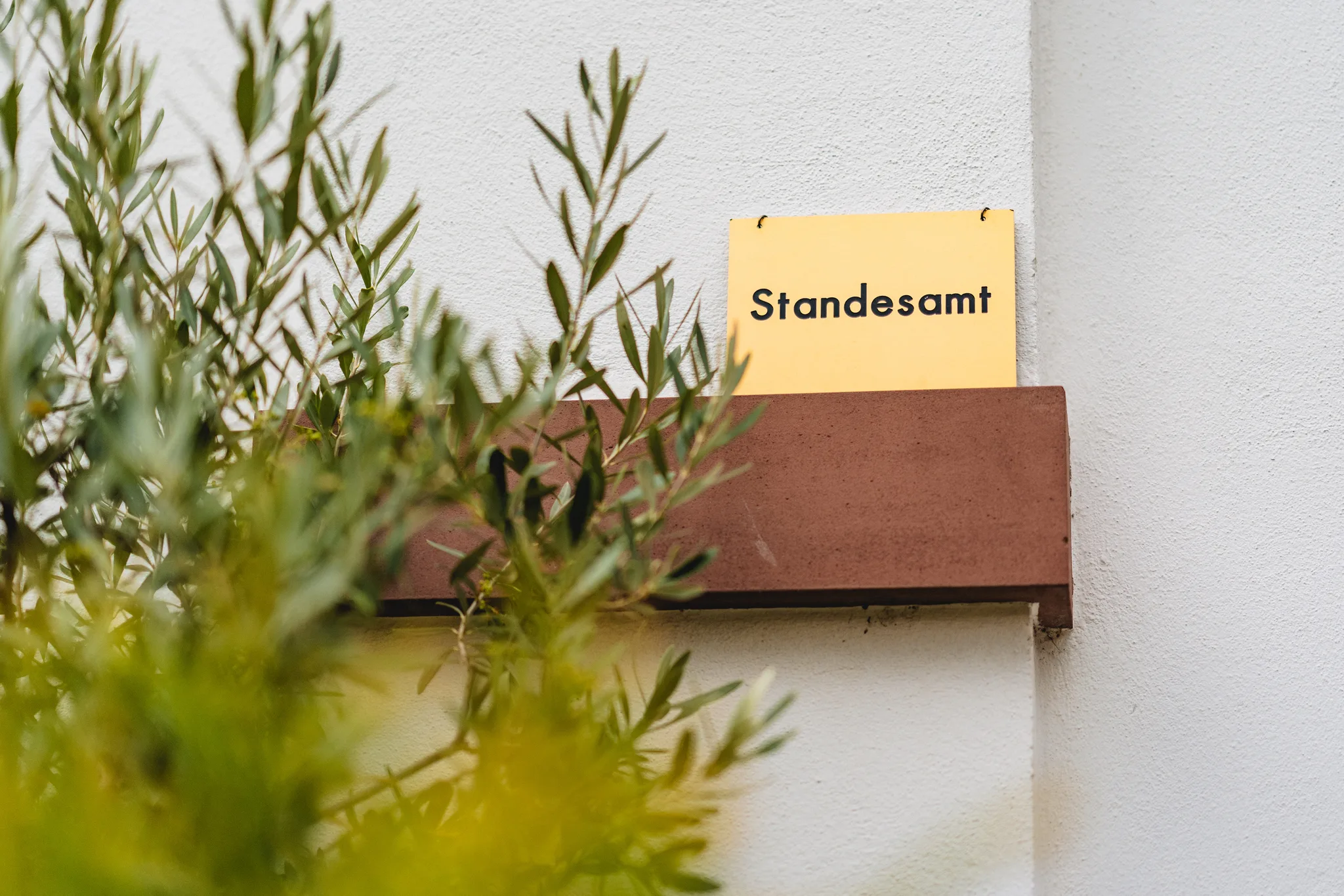 Ein gelbes Schild mit der Aufschrift Standesamt neben einem Olivenbaum.
